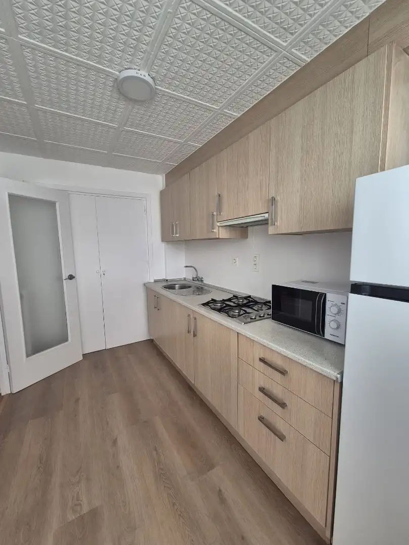 Küche von Wohnung zur Miete in Granada mit Heizung, Möbliert und Waschmaschine