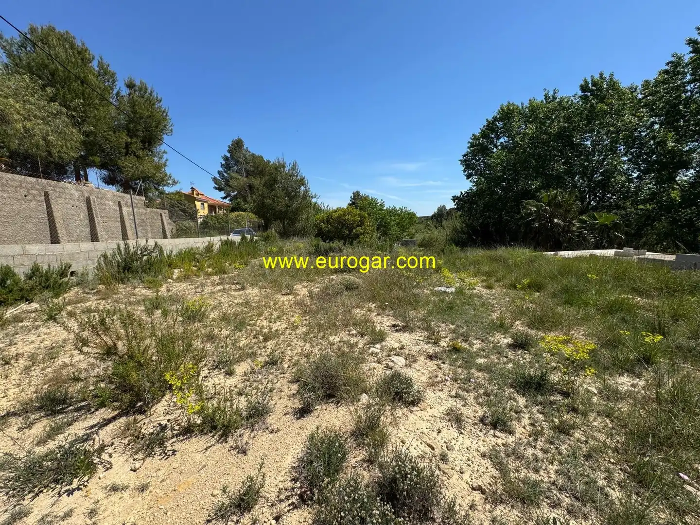 Terrain rustique à vendre à Los Felipes - Corral de Carmelo, imagen 6