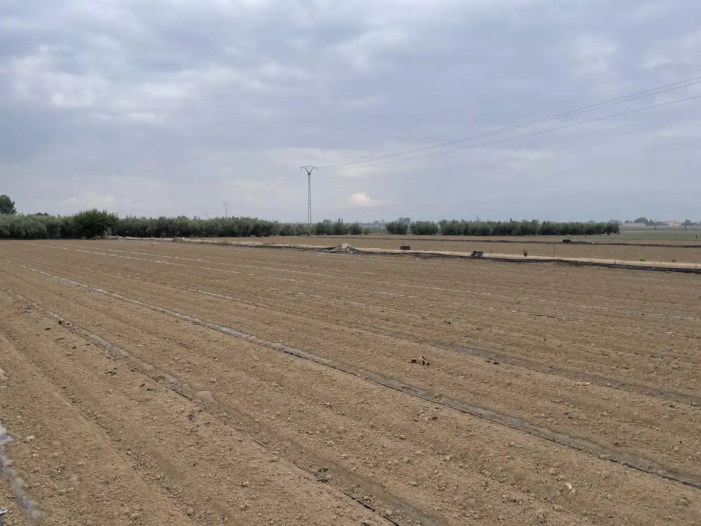 Lands and plots for sale in de Bodega, imagen 2