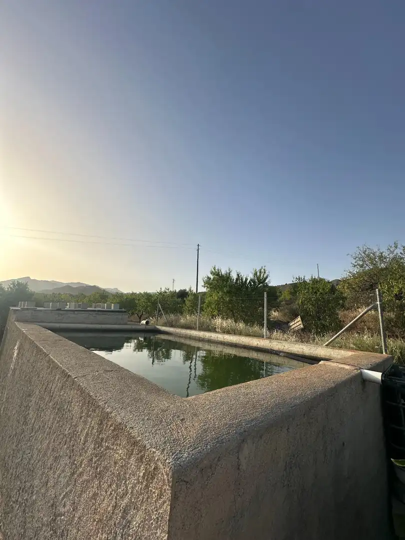 Piscina de Finca rústica en venta en Somontín