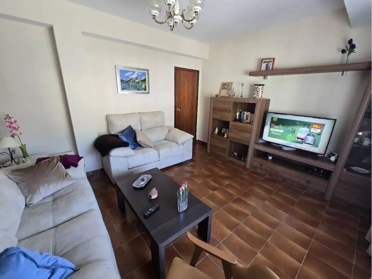 Sala d'estar de Pis en venda en Baleira amb Calefacció, Terrassa i Moblat