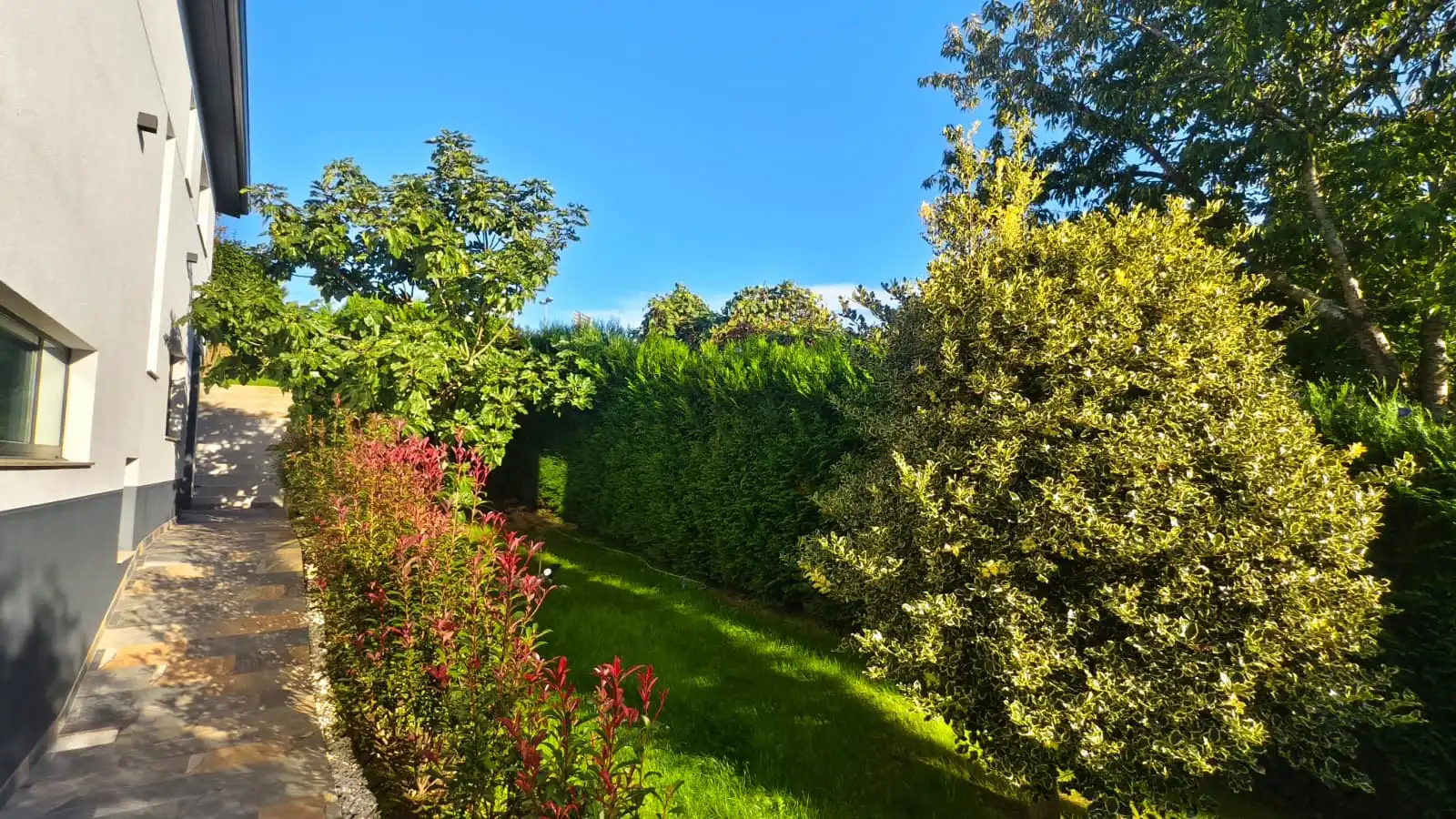 Maison avec jardin à vendre à Avenida Hermida, imagen 52