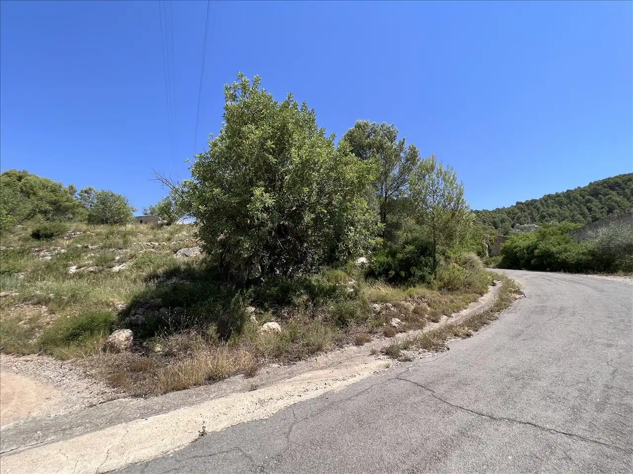 Residential land for sale in Proc. Simplificado, imagen 4