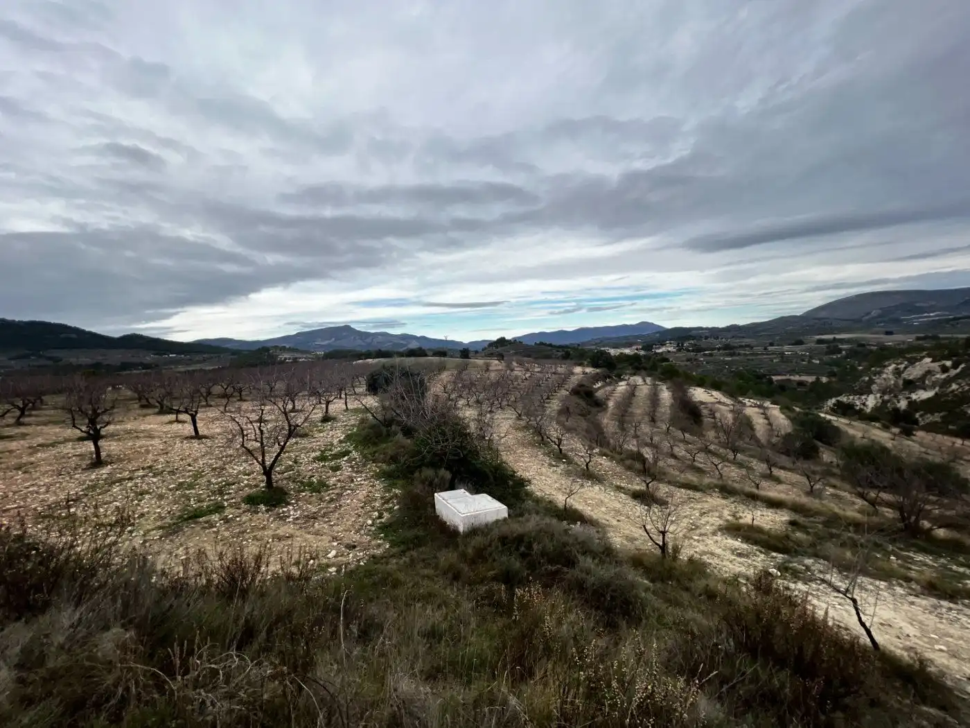 Casa rústica amb terrassa en venda a Carretera cv-785, imagen 47
