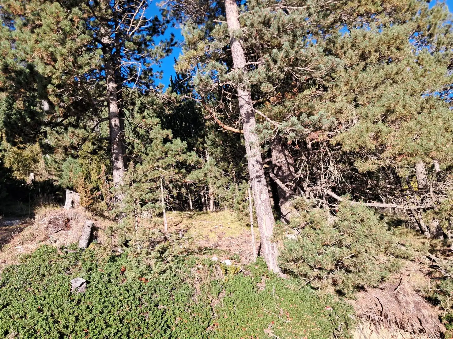 Residential zum Verkauf in La Coma i la Pedra