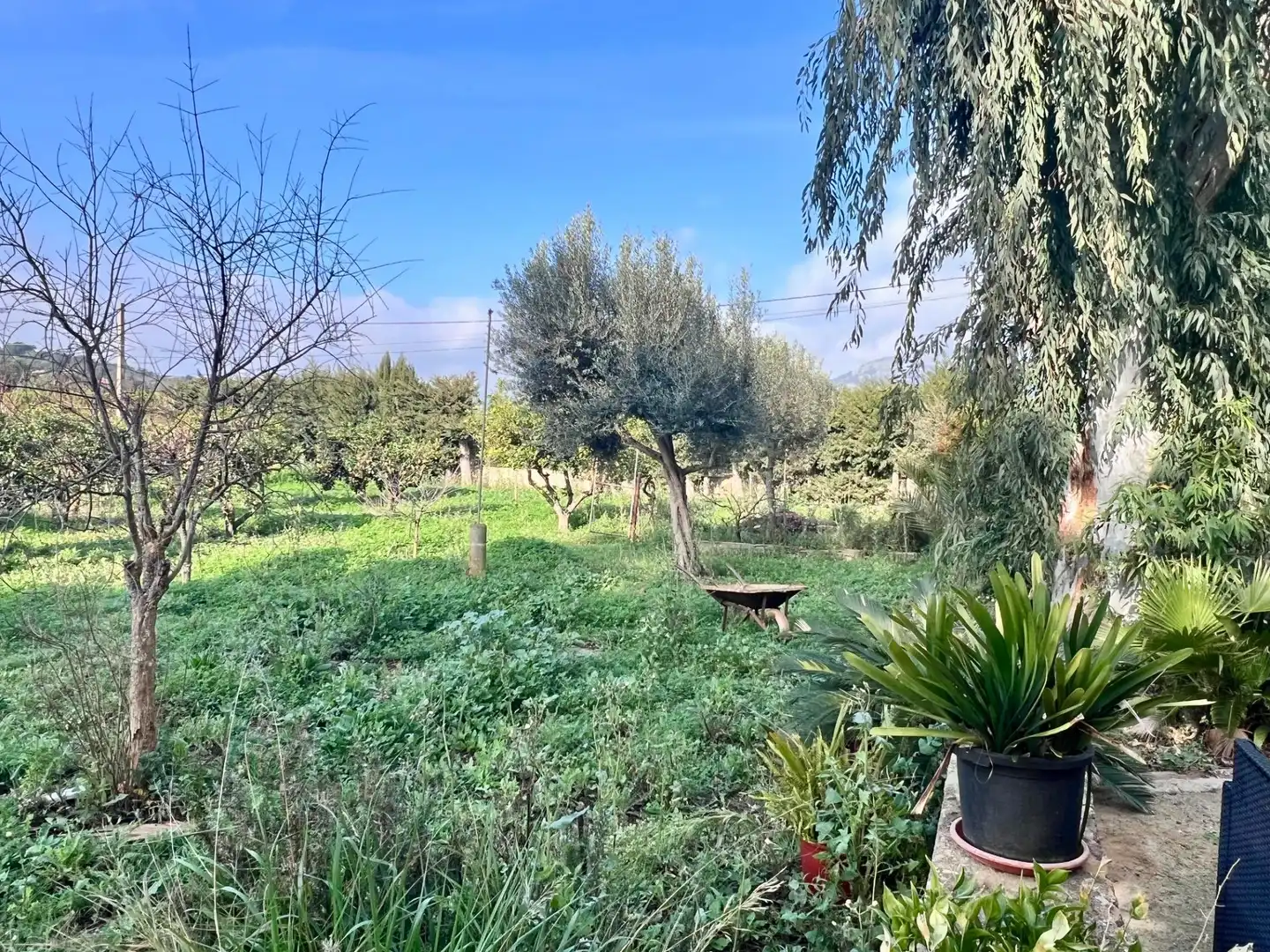 Maison rustique avec piscine à vendre à Campanet, imagen 9