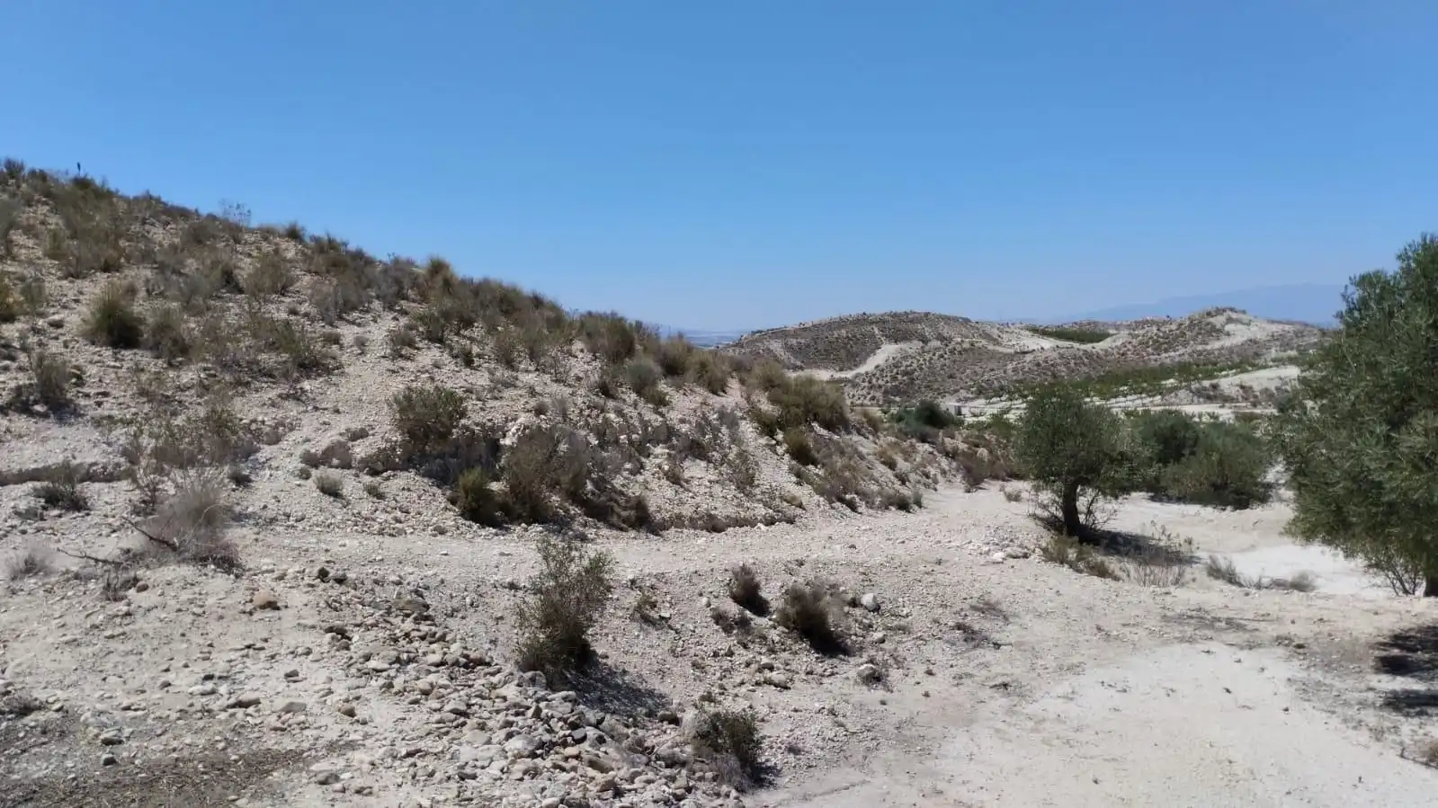 Grundstücke zum Verkauf in Molina de Segura