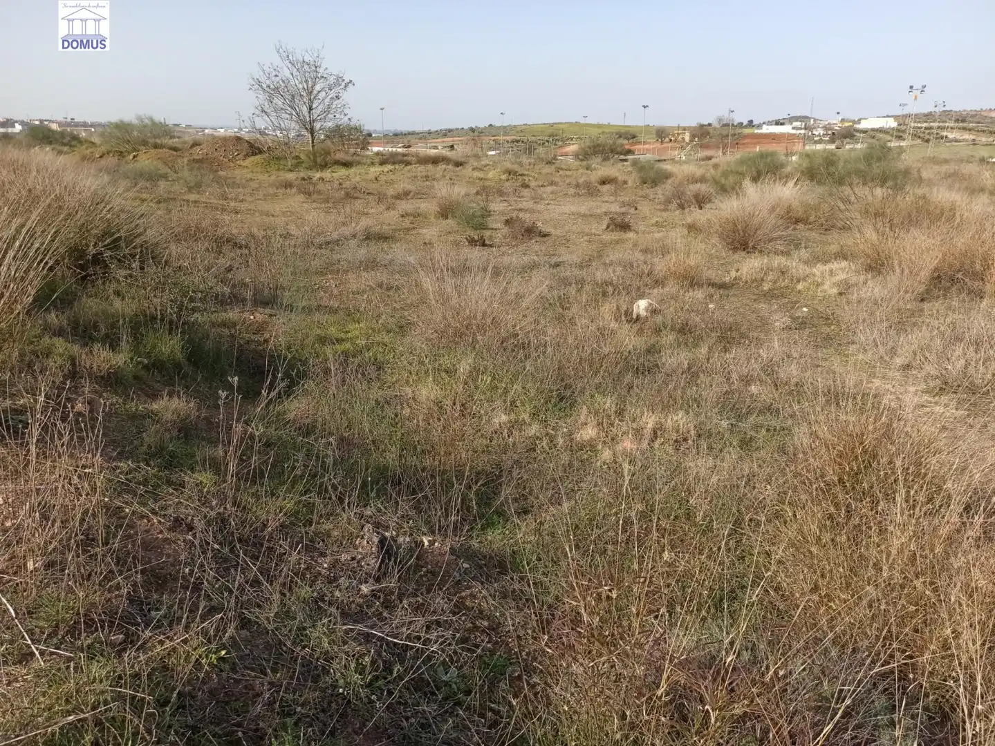 Terreni e lotti in vendita a Norte, imagen 12