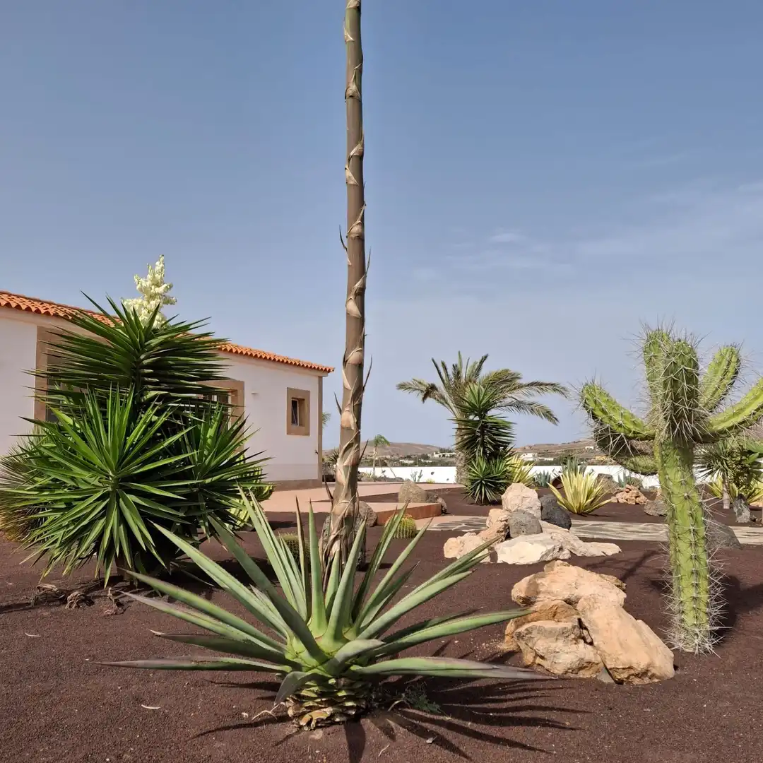 Jardín de Casa o chalet en venta en Tuineje con Jardín privado, Terraza y Trastero