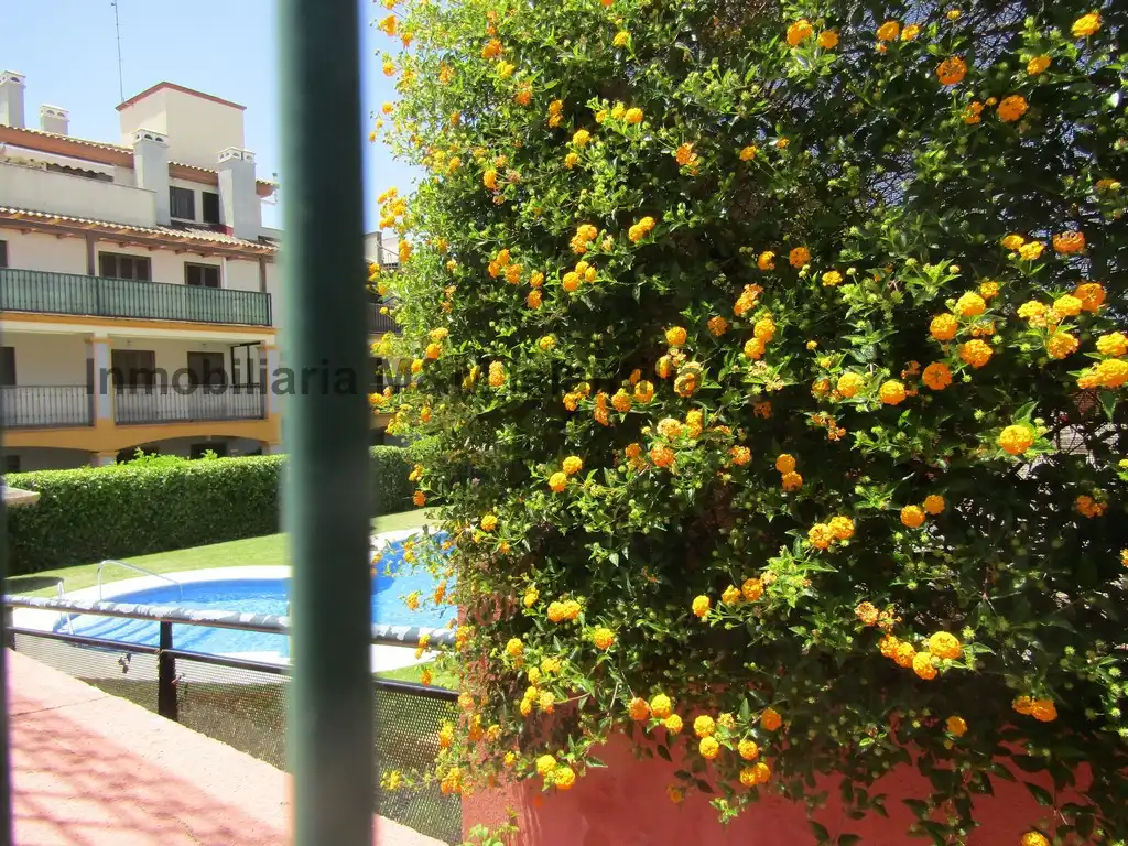 Jardín de Apartamento en venta en Ayamonte con Jardín privado, Amueblado y Horno