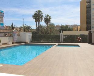 Swimming pool of Planta baja for sale in Torrevieja  with Terrace and Community pool