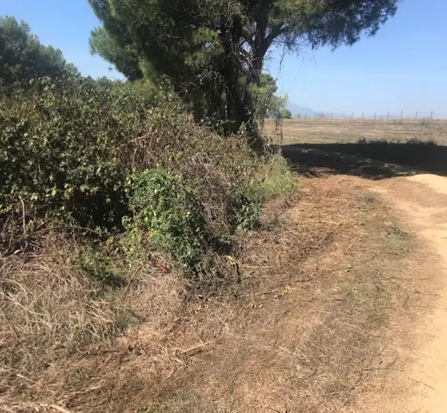 Terreno residencial en venta en Proc. Simplificado, imagen 5