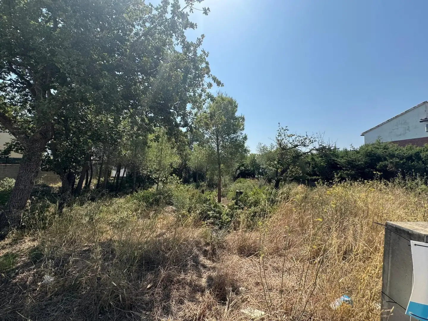Residential land for sale in DE L'EUCALIPTUS 40, imagen 15