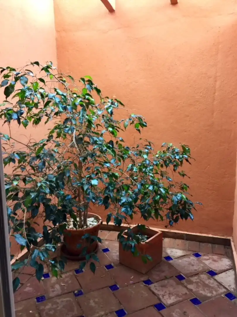Duplexes for sale in Casco Antiguo