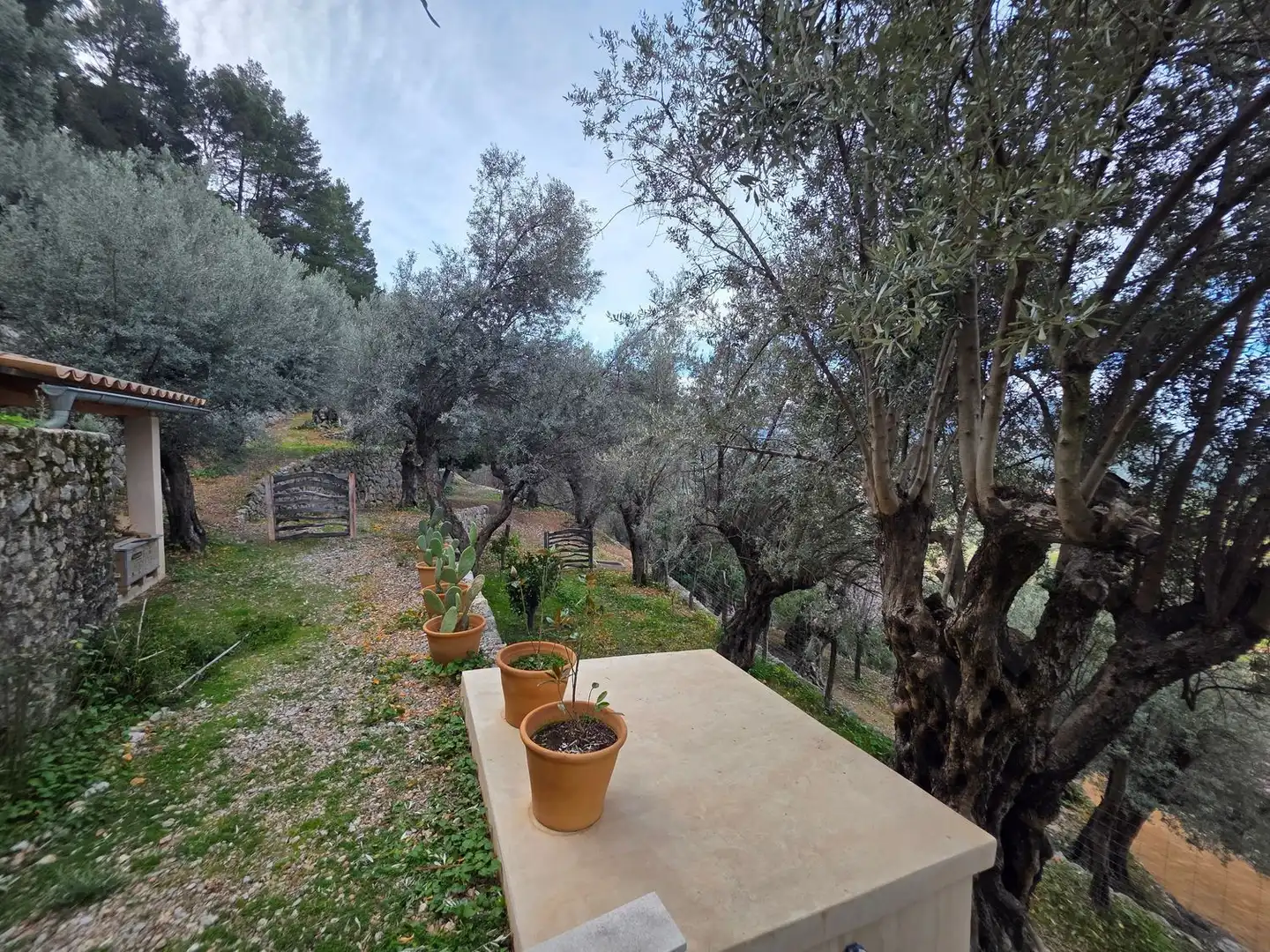 Jardí de Finca rústica en venda en Fornalutx amb Jardí privat