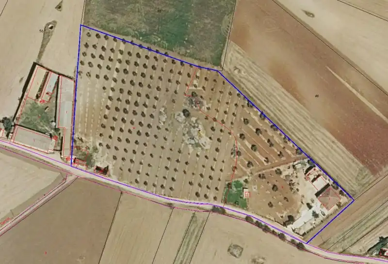 Finca rústica en venda a Camino Lugarnuevo, 6, Gálvez