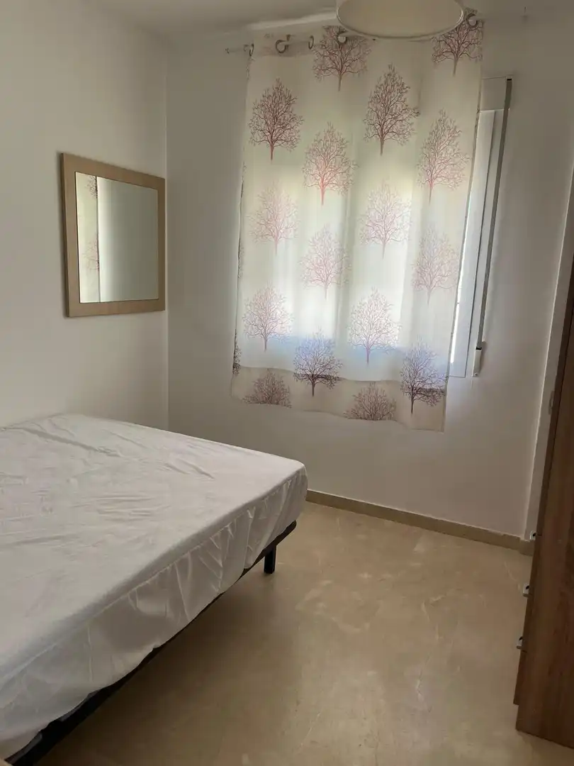 Penthouse with lift to rent in Residencial Triana - Barrio Alto, imagen 11