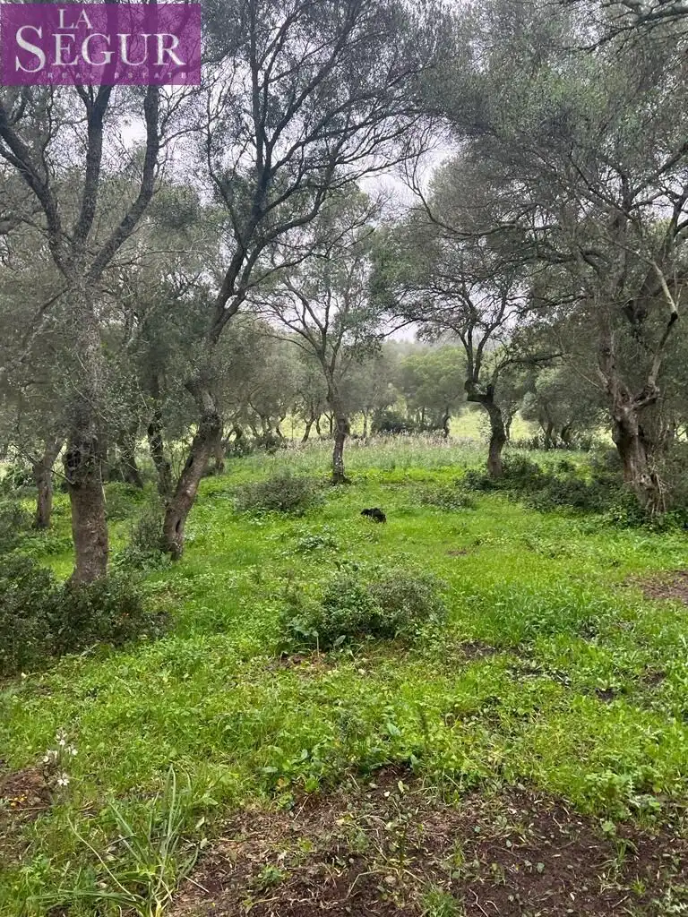 Residential for sale in Barbate