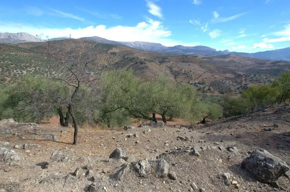 Vista exterior de Terreno en venta en Cútar, Málaga