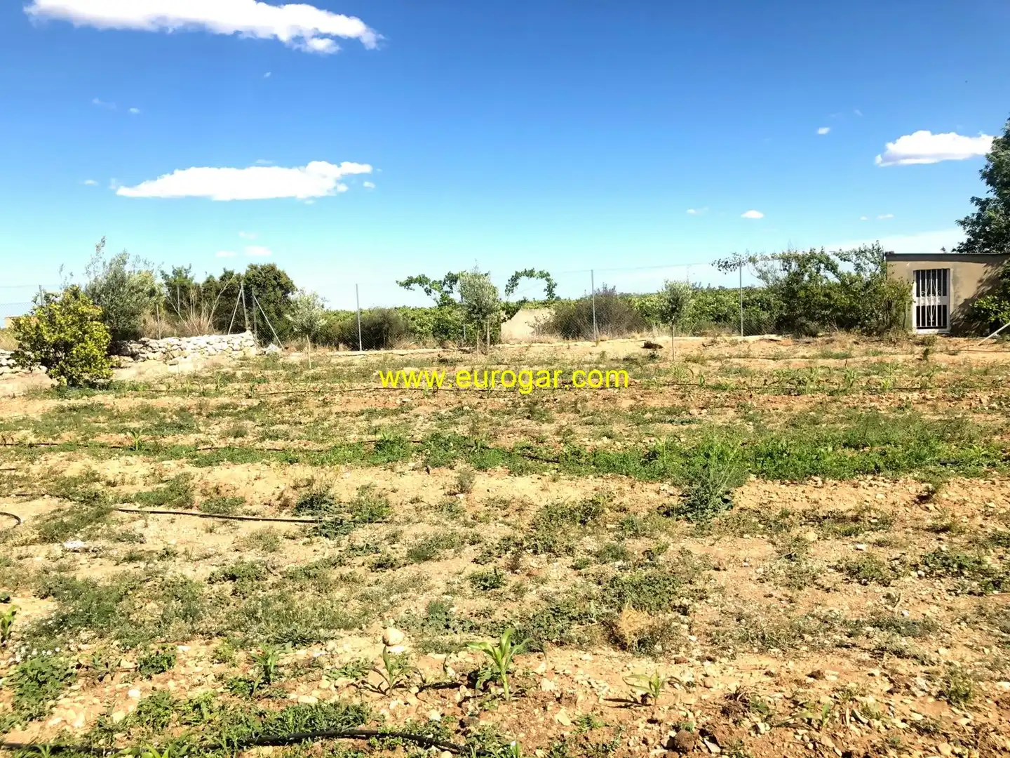 Casa o chalet en venta en Chiva con Piscina