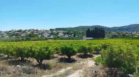 PARCELA GRANDE EN ORBA ALICANTE, imatge 5