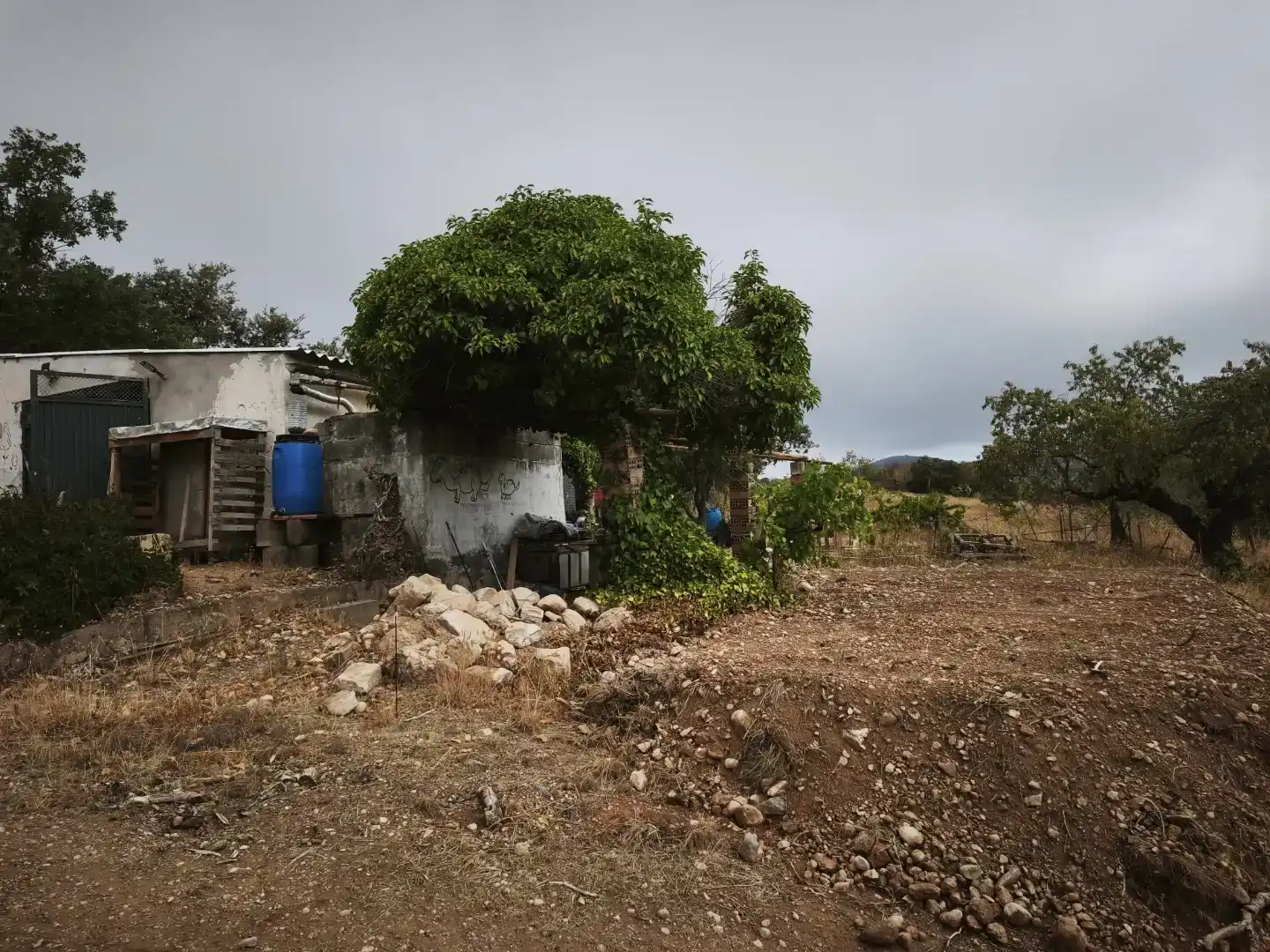 Finca rústica en venda en Peralta de Calasanz