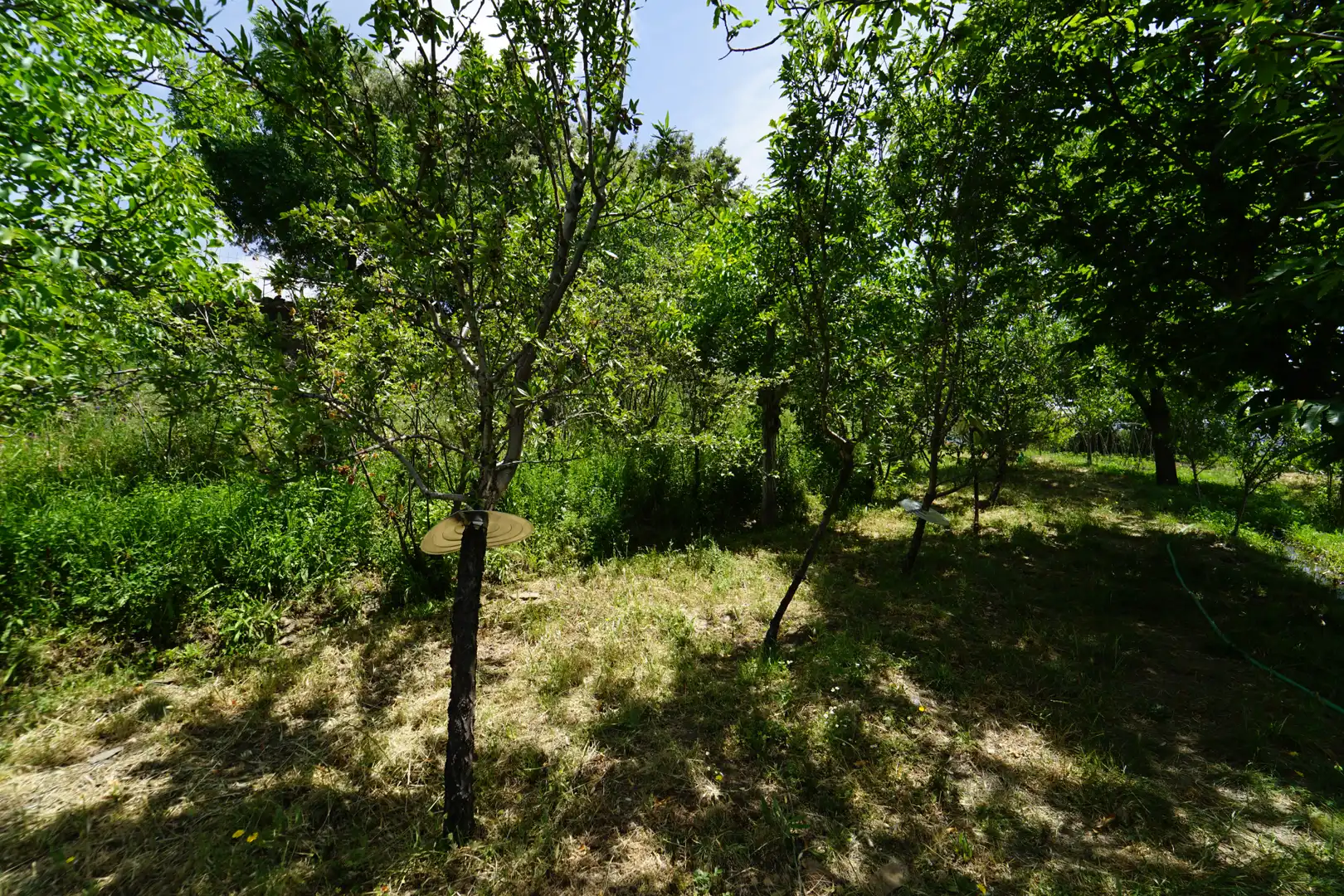 Finca rústica en venda en La Taha amb Terrassa i Moblat