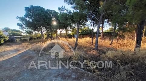 Foto 4 de Casa o xalet en venda a Los Franceses – La Vega, Chiclana de la Frontera
