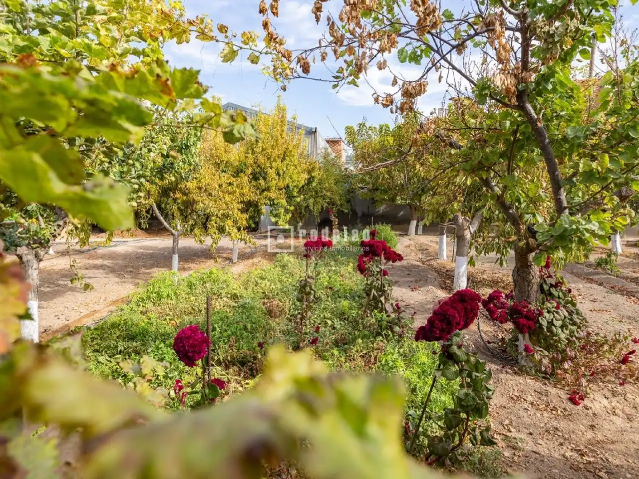 Jardín de Casa o chalet en venta en Madridejos con Aire acondicionado, Calefacción y Terraza