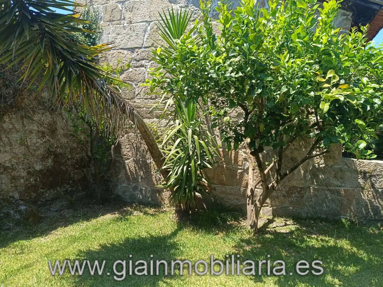 Jardín de Casa o chalet en venta en Mondariz con Calefacción, Jardín privado y Terraza