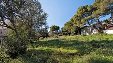 Photo 5 of Land for sale in Palmanova, Illes Balears