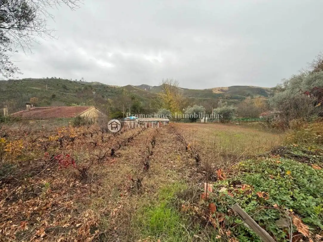 Lands and plots for sale in Feces de Cima