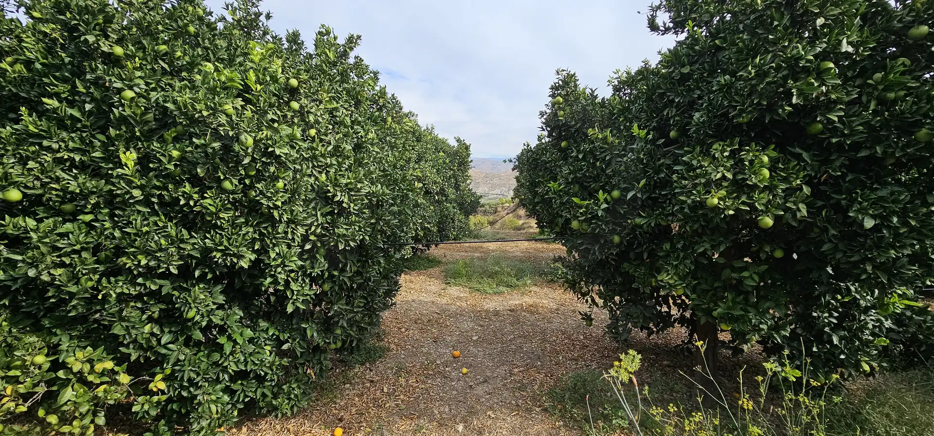 Residencial en venda en Íllar