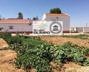 Casa o xalet en venda en La Gineta amb Piscina