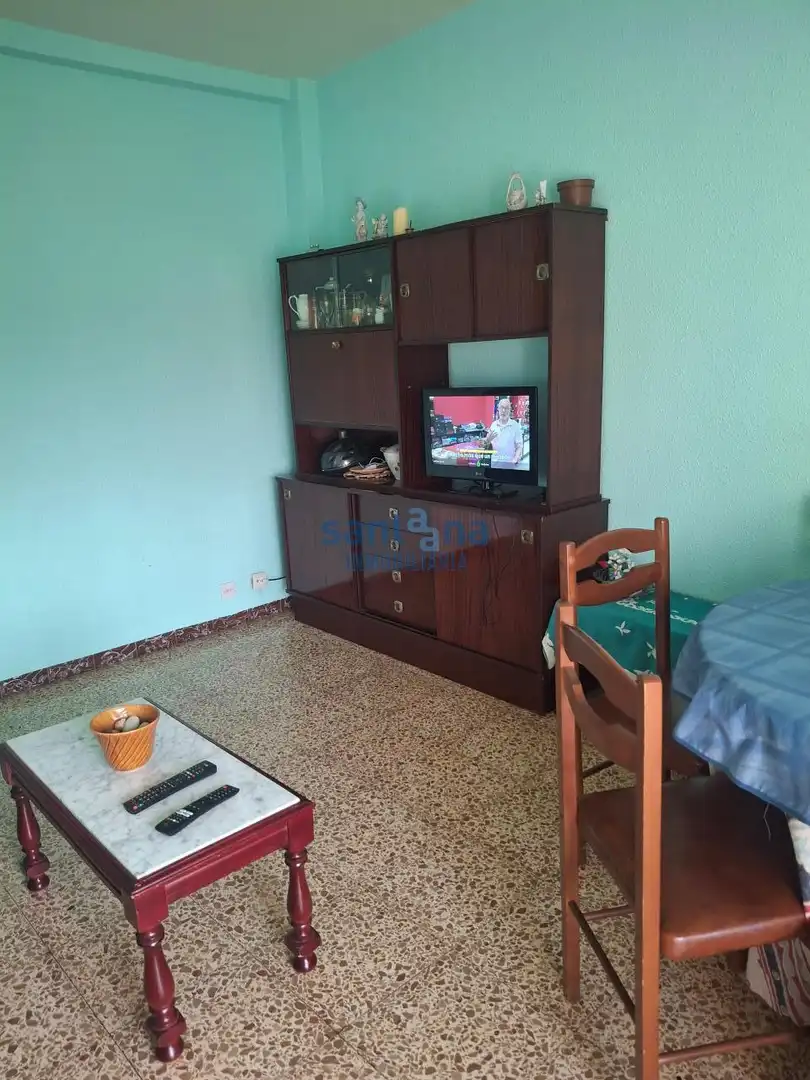 Living room of Apartments for sale in Villamañán  with Terrace and Furnished