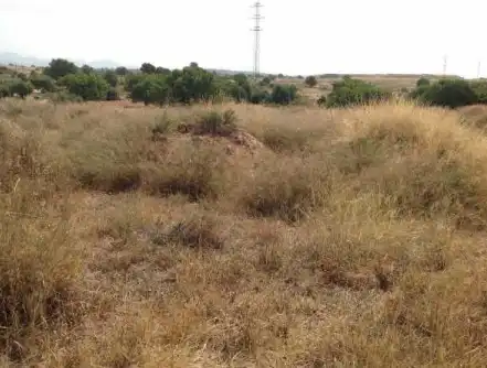 Terrain rustique à vendre à PT R-14, imagen 11