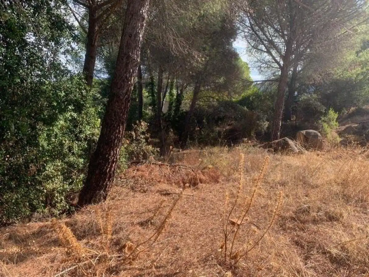 Terreny residencial en venda a Periurbano Oeste - Sierra, imagen 4
