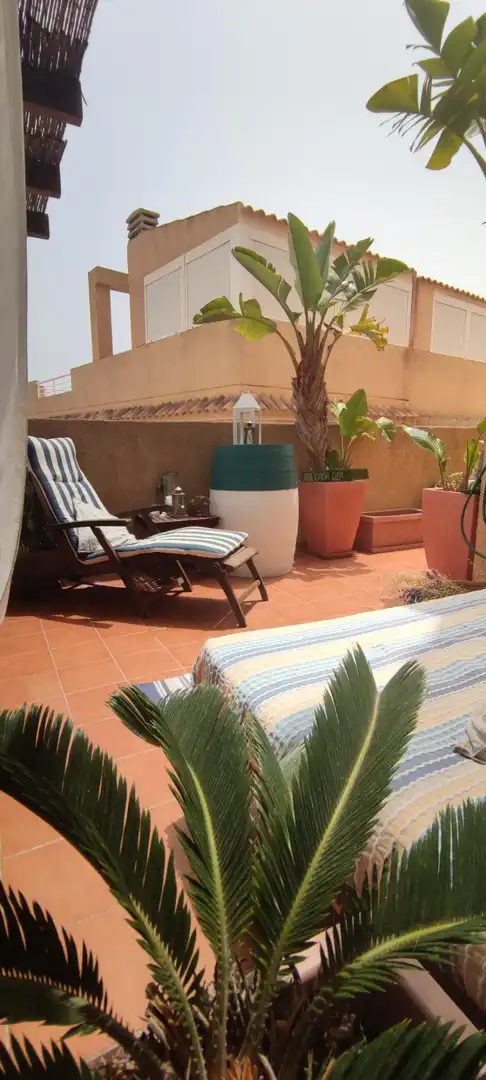 Casa o chalet de alquiler en Calas Santiago Bernabéu