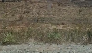 Terreni e lotti in vendita a Los Tablones - La Garnatilla