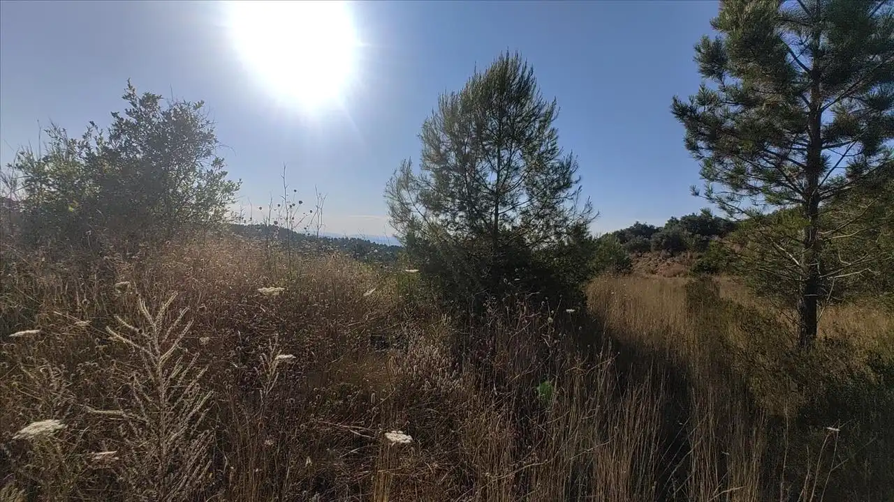 Residential for sale in Quatretonda