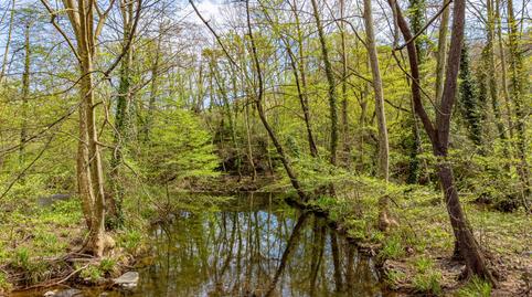 Photo 5 of Country house for sale in Lloc Mas el Moli de la Torre, 1, Olot, Girona