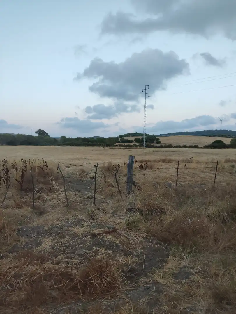 Land for sale in Vejer de la Frontera