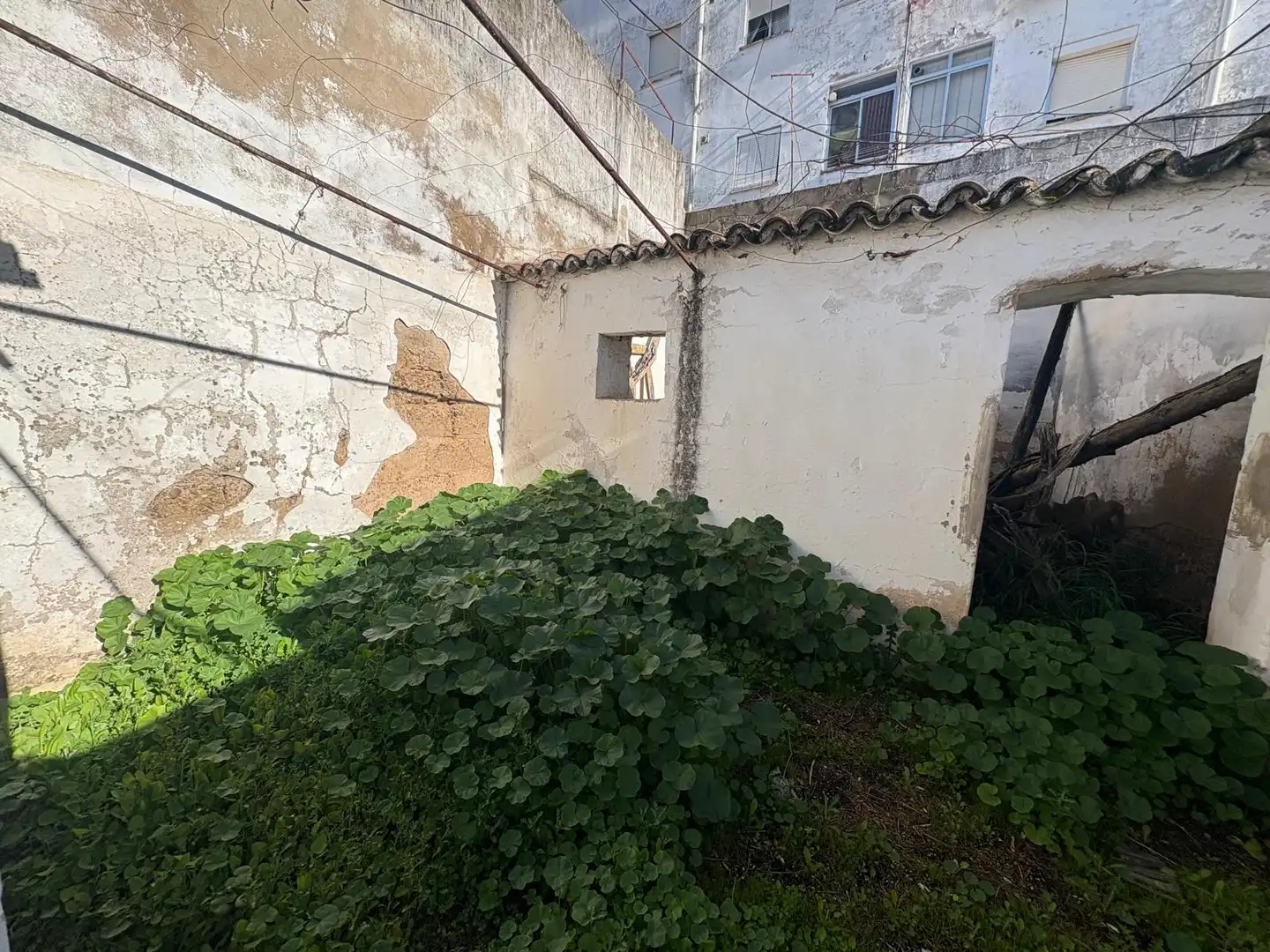 Casa o chalet en venta en Montijo con Jardín privado