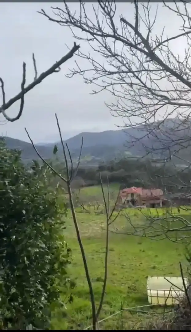 Casa o xalet en venda en Salas amb Terrassa i Piscina
