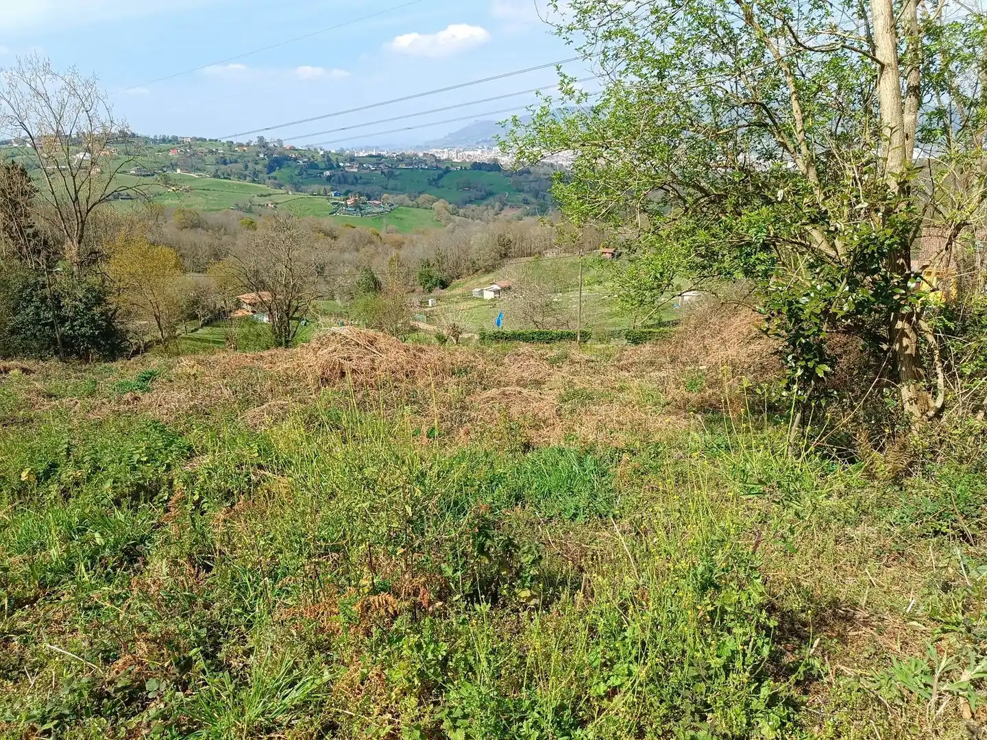 Residential for sale in Oviedo 