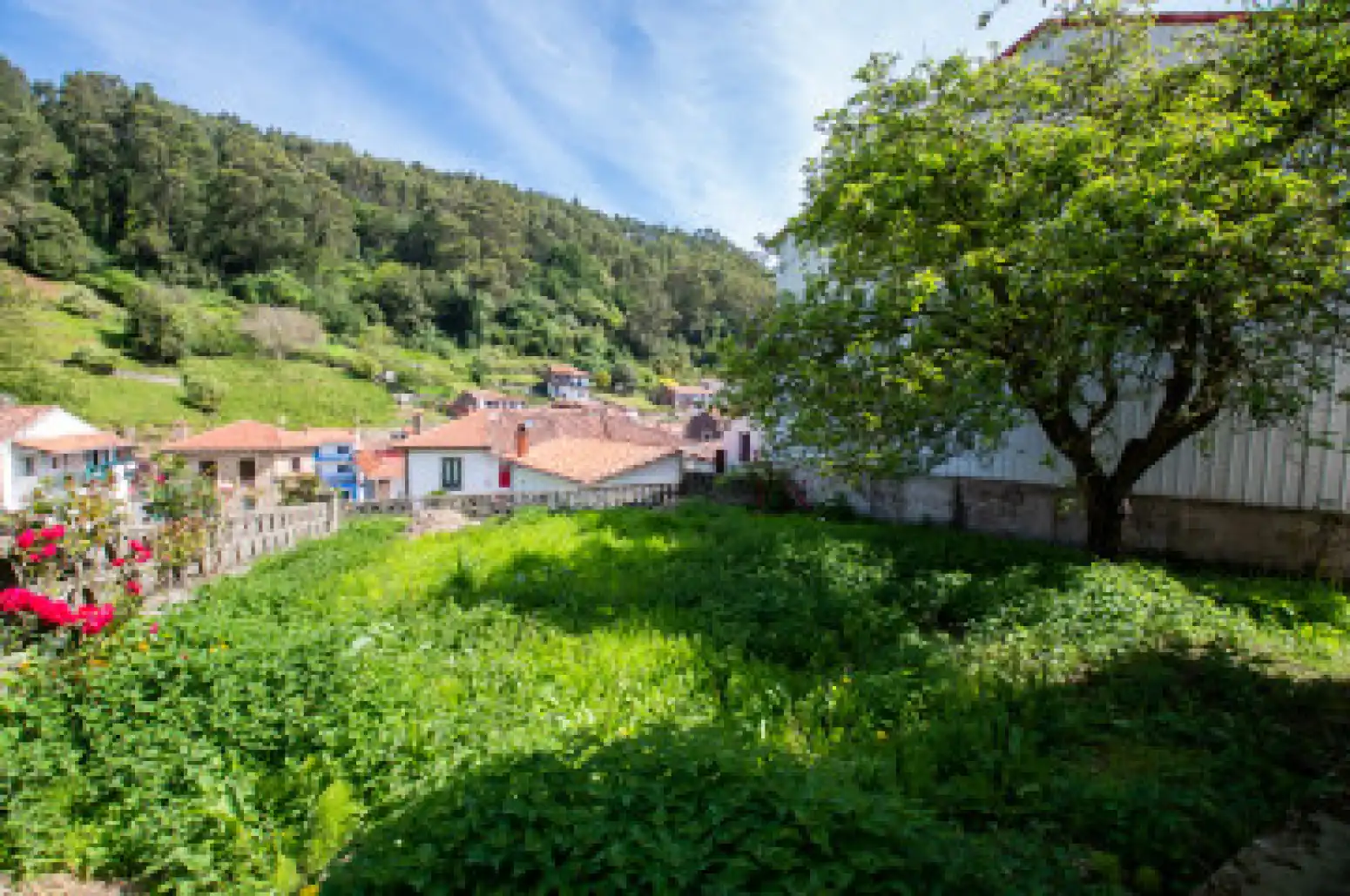 Vista exterior de Casa o xalet en venda en Villaviciosa amb Calefacció i Terrassa