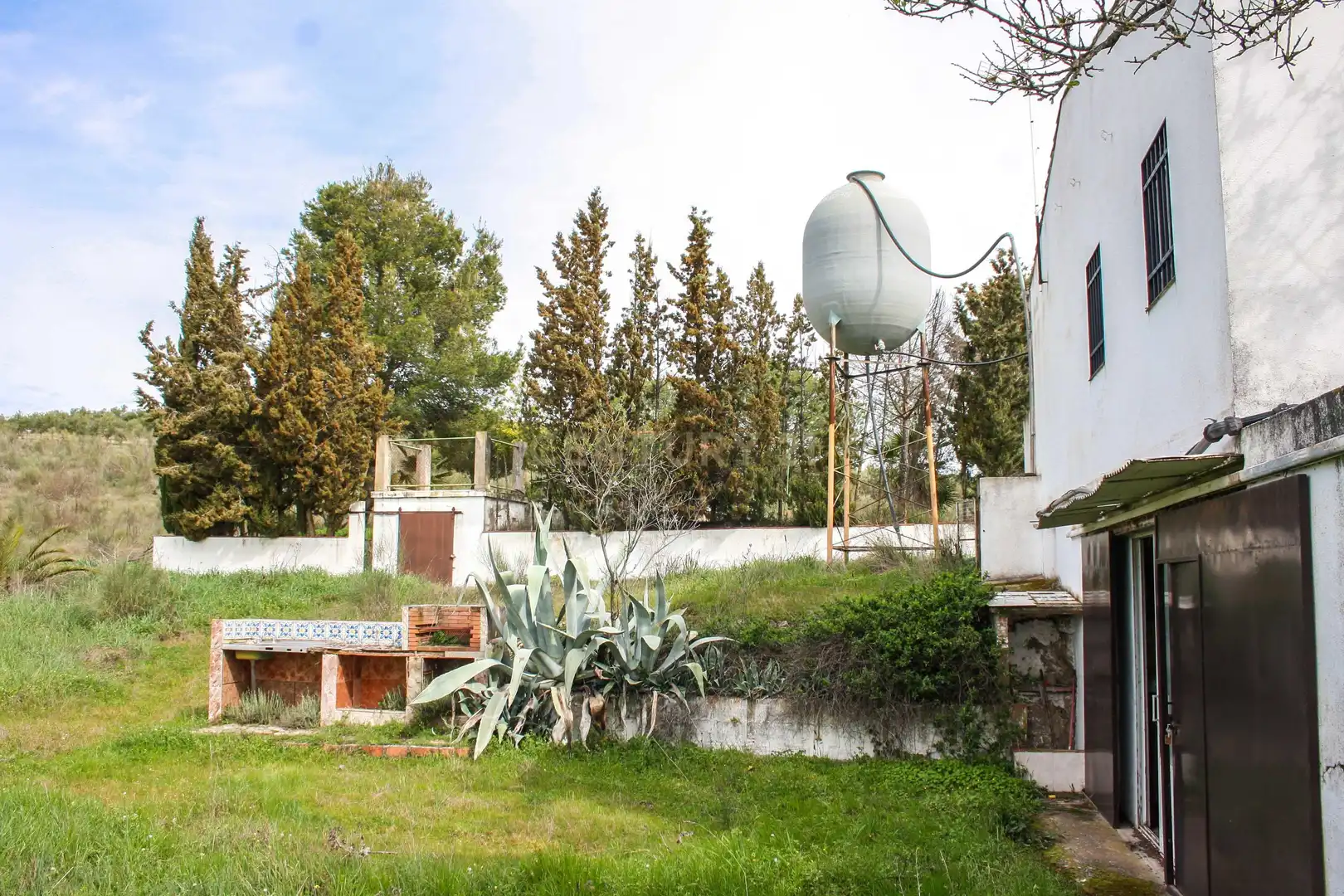 Garden of Land for sale in Azuaga