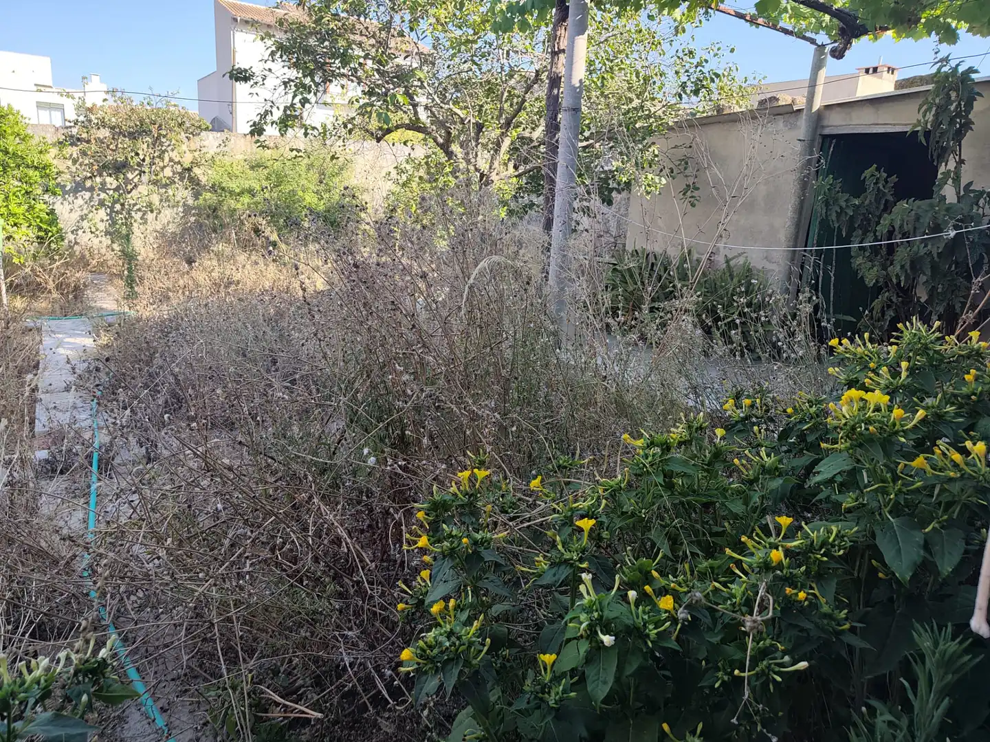Casa o xalet en venda en Ariany amb Jardí privat, Terrassa i Traster