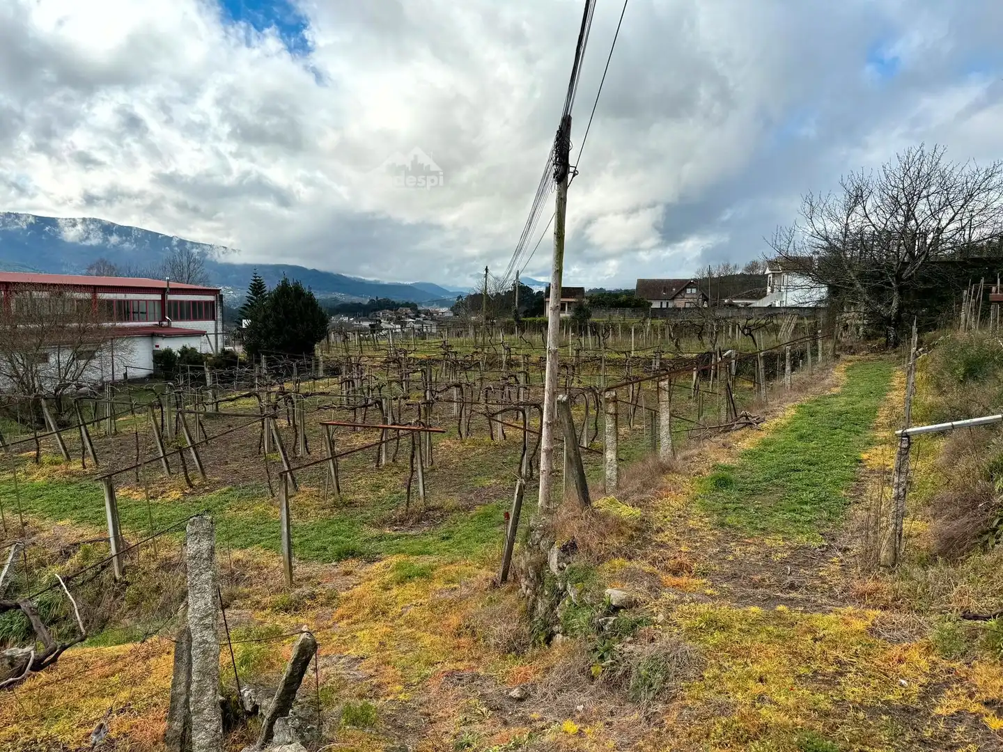 Rural land for sale in Arbo, imagen 6