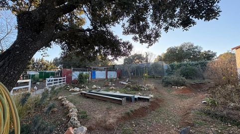 Foto 3 de Casa o chalet en venta en Pioz, Guadalajara